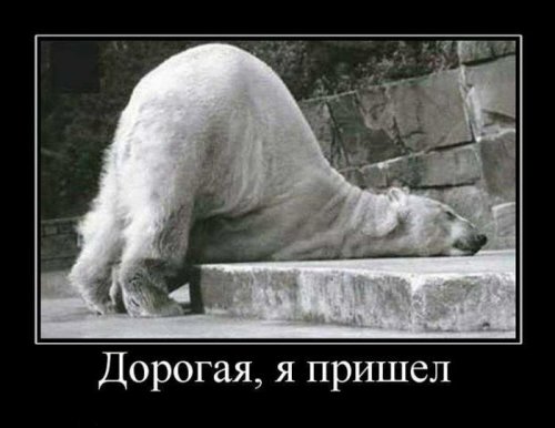 Демотиваторы (75 фото)