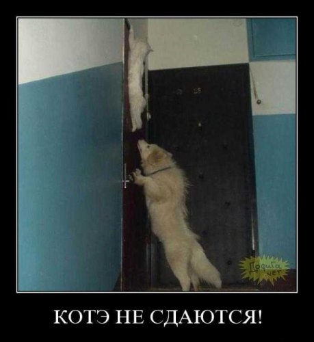Демотиваторы (75 фото)