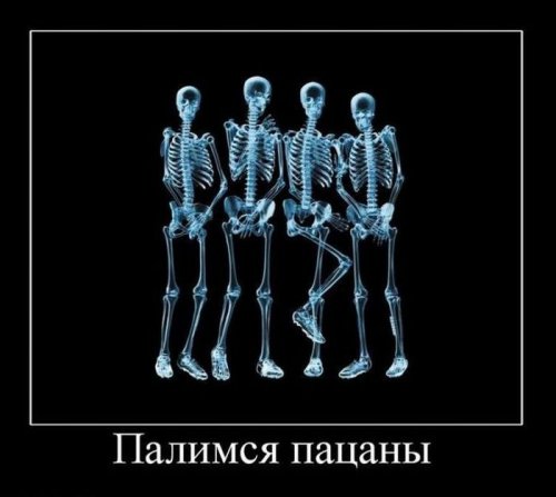 Демотиваторы (75 фото)
