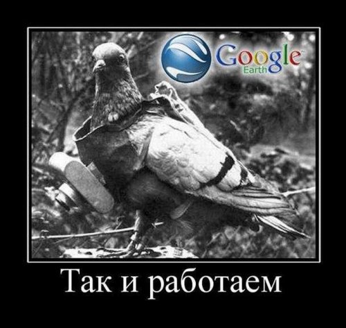 Демотиваторы (75 фото)