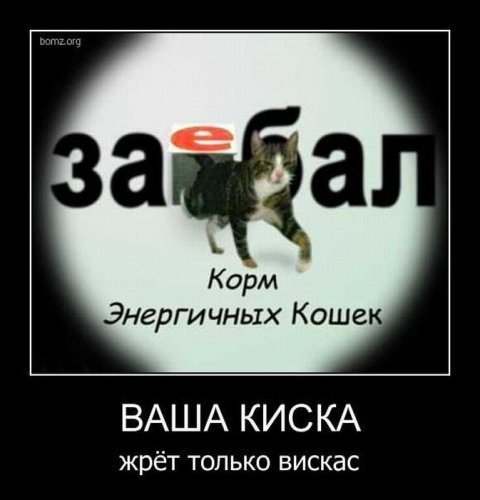 Демотиваторы (75 фото)