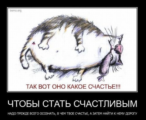 Демотиваторы (75 фото)