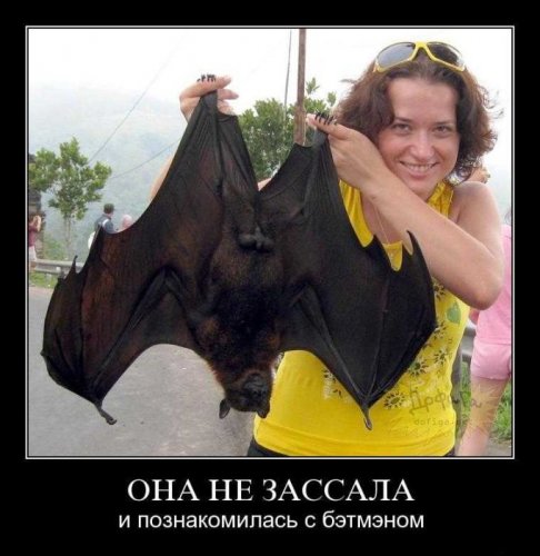 Демотиваторы (75 фото)
